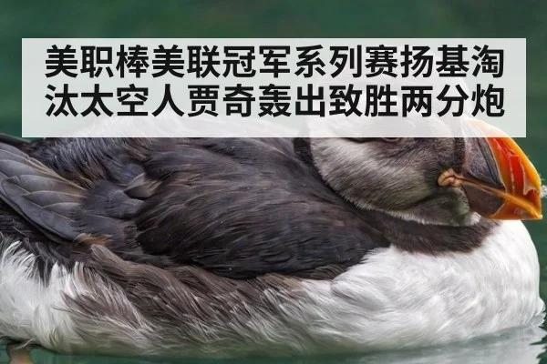 美职棒美联冠军系列赛扬基淘汰太空人贾奇轰出致胜两分炮